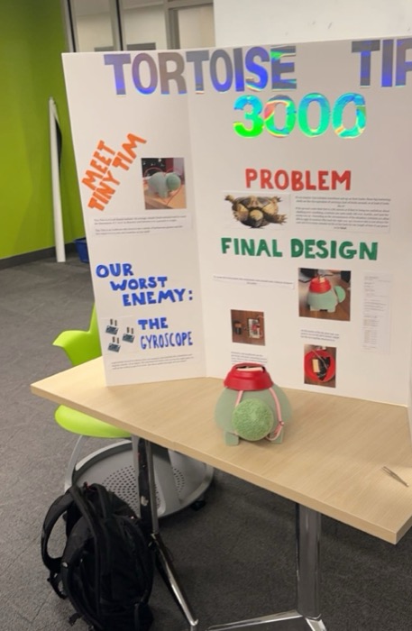The project poster board with the finished tortoise in front of it